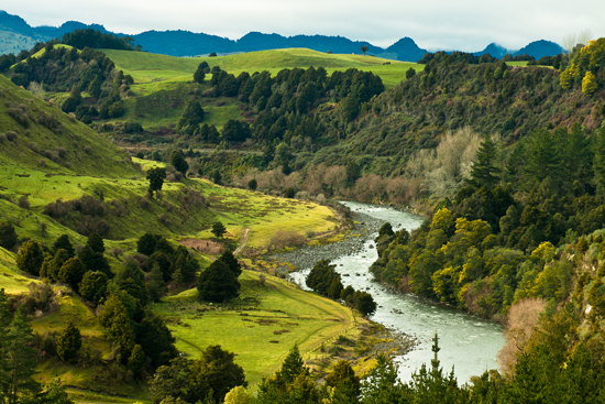 Water – Protecting a Vital Resource (Aotearoa New Zealand) | Mercy World